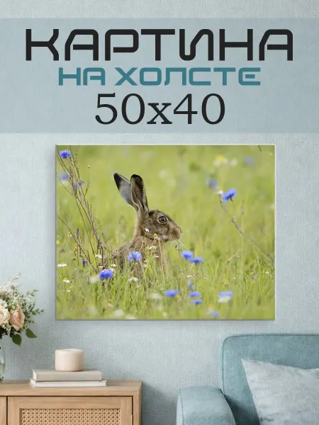 ПринтСтори Картина на стену 50x40 Заяц