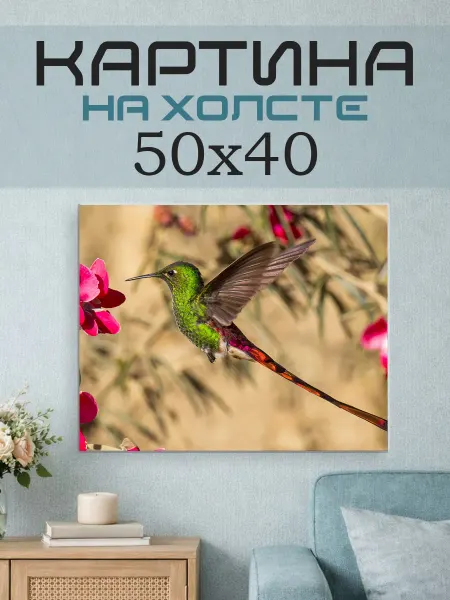 ПринтСтори Картина на стену 50x40 Колибри