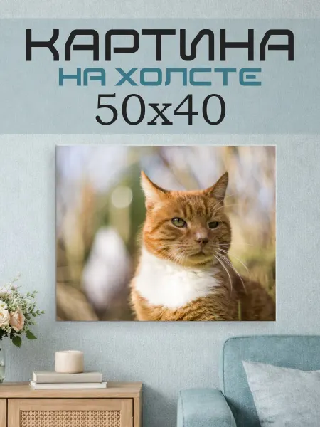ПринтСтори Картина на стену 50x40 Рыжий кот