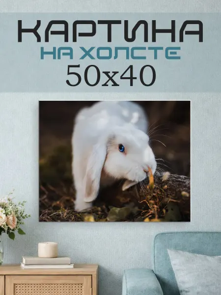 ПринтСтори Картина на стену 50x40 Кролик
