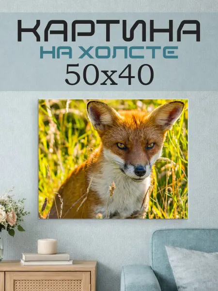 ПринтСтори Картина на стену 50x40 Лиса