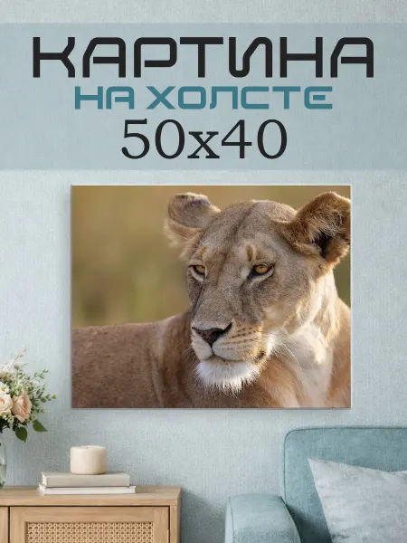 ПринтСтори Картина на стену 50x40 Львица