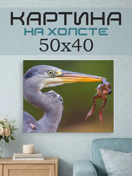 ПринтСтори Картина на стену 50x40 Цапля и лягушка