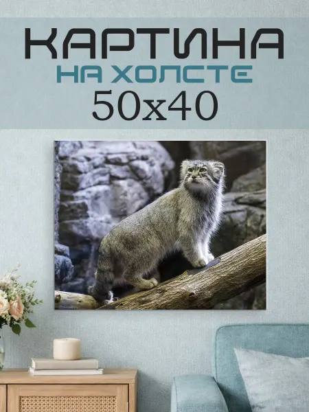 ПринтСтори Картина на стену 50x40 Манул