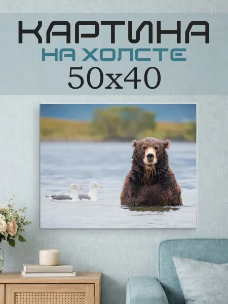 ПринтСтори Картина на стену 50x40 Медведь