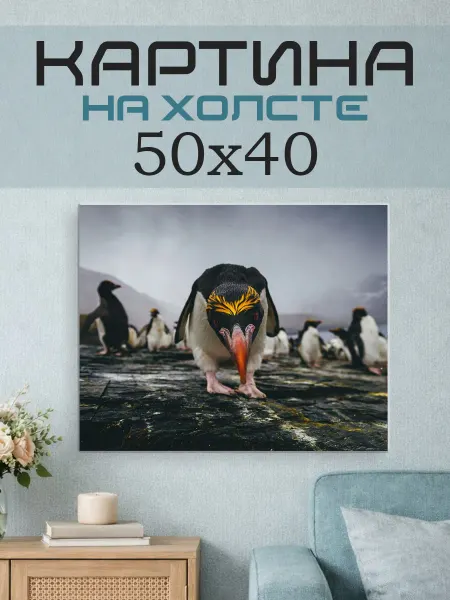 ПринтСтори Картина на стену 50x40 Пингвин