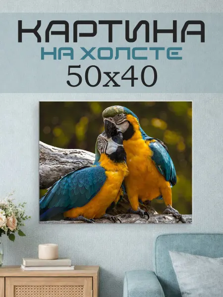 ПринтСтори Картина на стену 50x40 Попугаи
