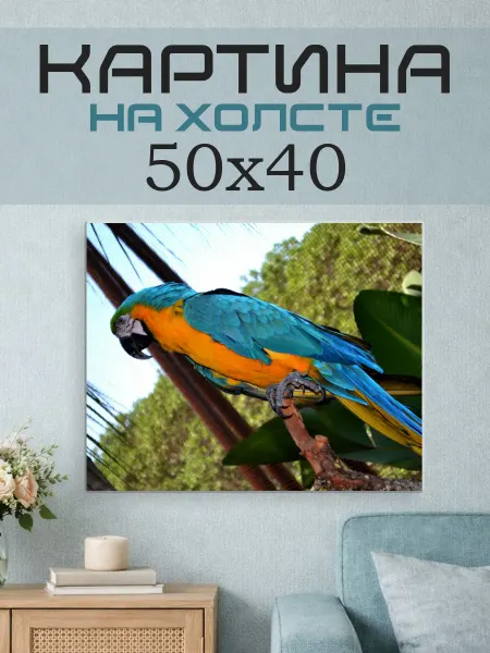 ПринтСтори Картина на стену 50x40 Попугай