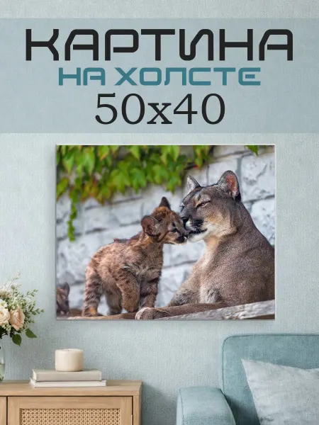ПринтСтори Картина на стену 50x40 Пума
