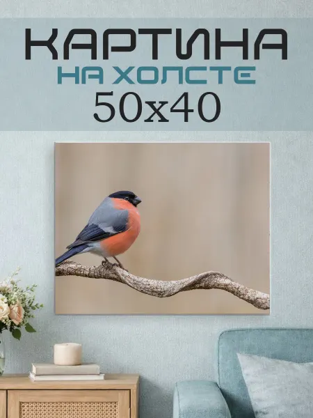 ПринтСтори Картина на стену 50x40 Снегирь
