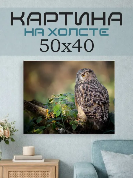 ПринтСтори Картина на стену 50x40 Сова