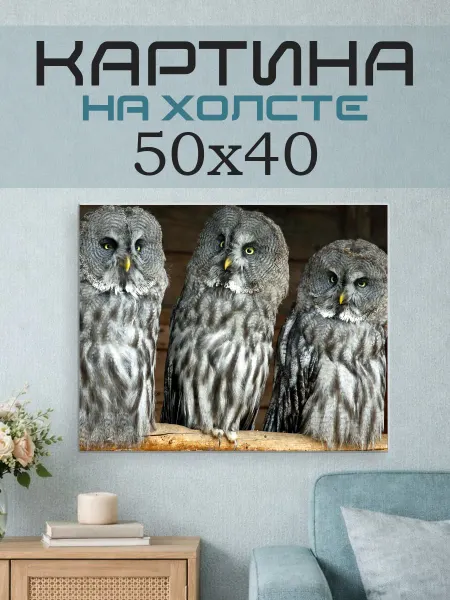 ПринтСтори Картина на стену 50x40 Совы
