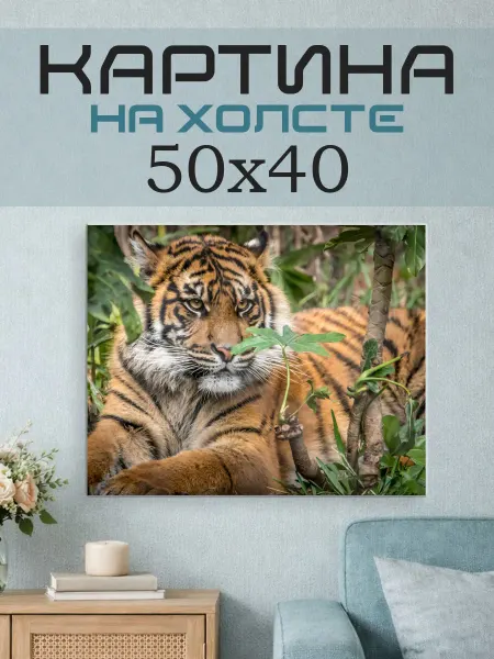 ПринтСтори Картина на стену 50x40 Тигр