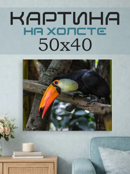 ПринтСтори Картина на стену 50x40 Тукан