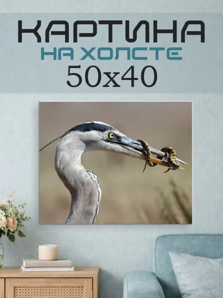 ПринтСтори Картина на стену 50x40 Цапля и ящерица