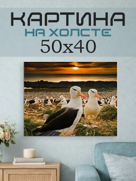 ПринтСтори Картина на стену 50x40 Чайки