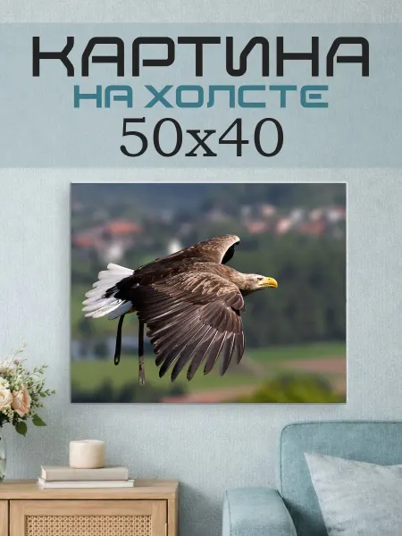 ПринтСтори Картина на стену 50х40 Орлан