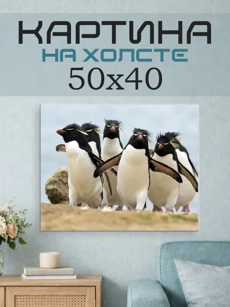 ПринтСтори Картина на стену 50х40 Пингвины