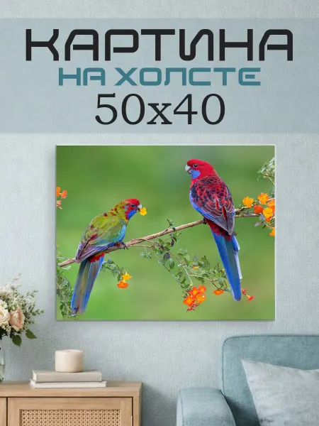 ПринтСтори Картина на стену 50х40 Попугаи