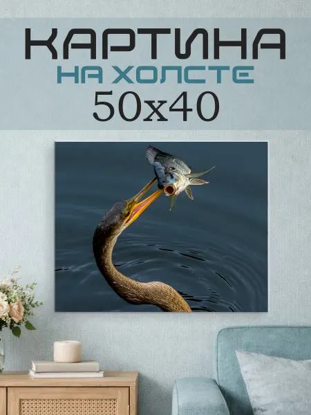 ПринтСтори Картина на стену 50х40 Цапля и рыба
