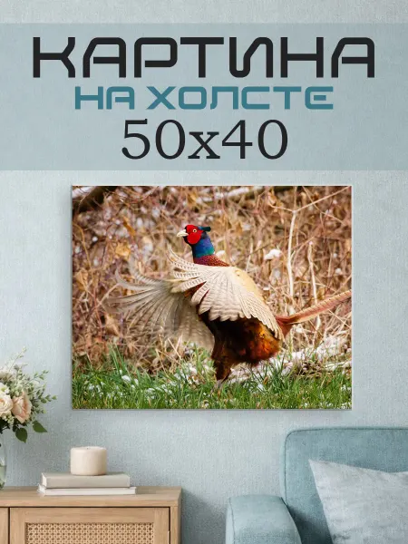 ПринтСтори Картина на стену 50х40 Фазан