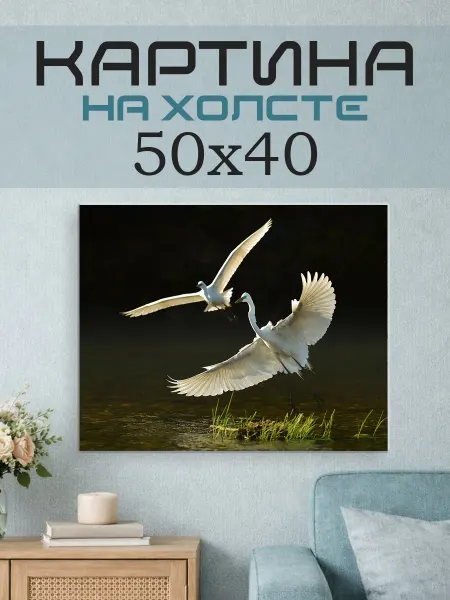 ПринтСтори Картина на стену 50х40 Цапли