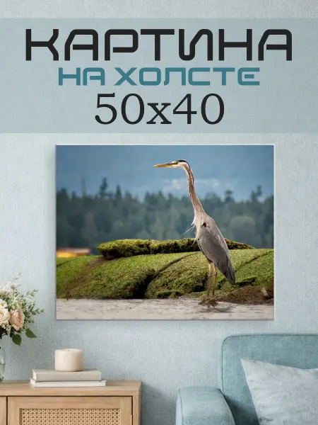 ПринтСтори Картина на стену 50х40 Цапля