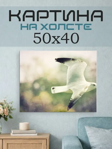 ПринтСтори Картина на стену 50х40 Чайка