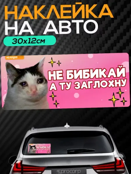 55procorp Наклейка на автомобиль прикольная надпись
