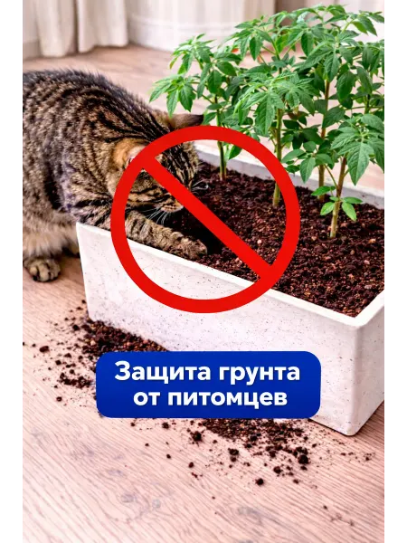 Защита от кошек для рассады в ящиках и прямоугольных горшках