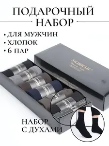 Носки РАЯНА мужские, 6 пар