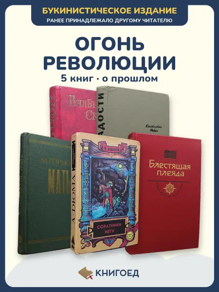 Книгоед Исторические романы Скотт Федин Горький Дюма