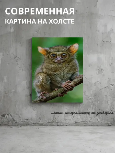 DZiVA Картина на холсте Животные 60x80 см