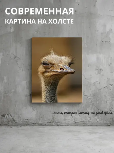DZiVA Картина на холсте Страус 60x80 см