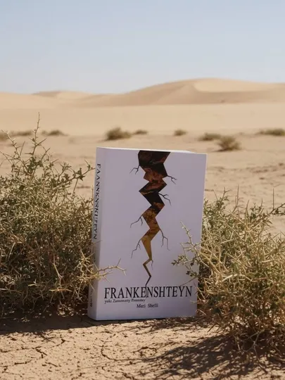 Франкенштейн – Мэри Шелли. Классика мировой литературы. Готический роман