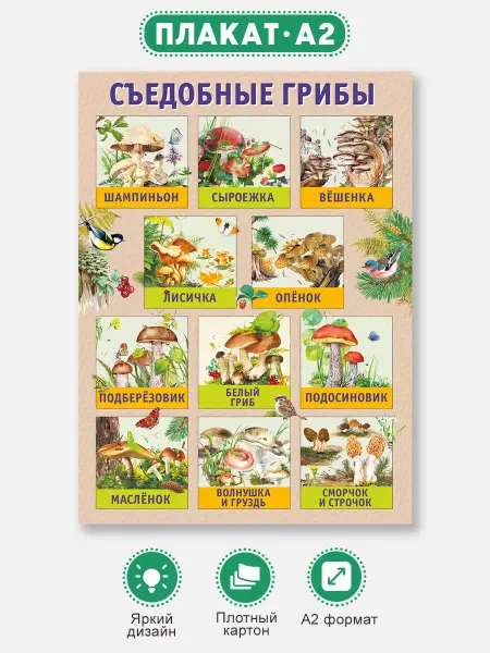 ТМ Мир поздравлений Плакат Съедобные грибы, оформление в школу и детский сад