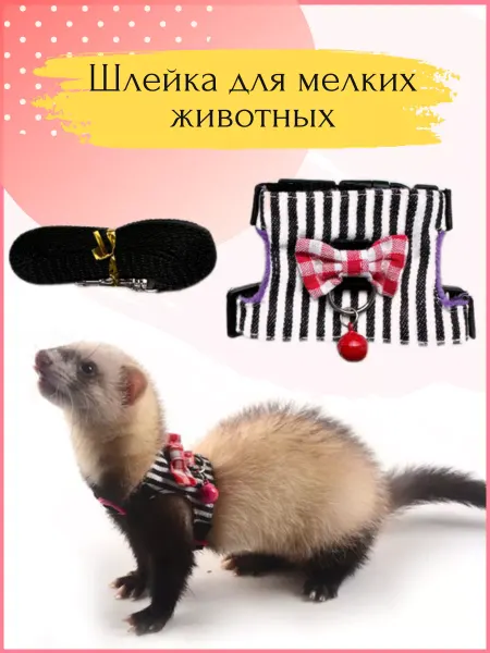 КЛАССНАЯ ШЛЕЙКА Шлейка для морской свинки, крыс и грызунов
