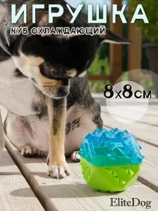 Игрушка для собак резиновая EliteDog "Куб охлаждающий", сине-зелёная, 8см