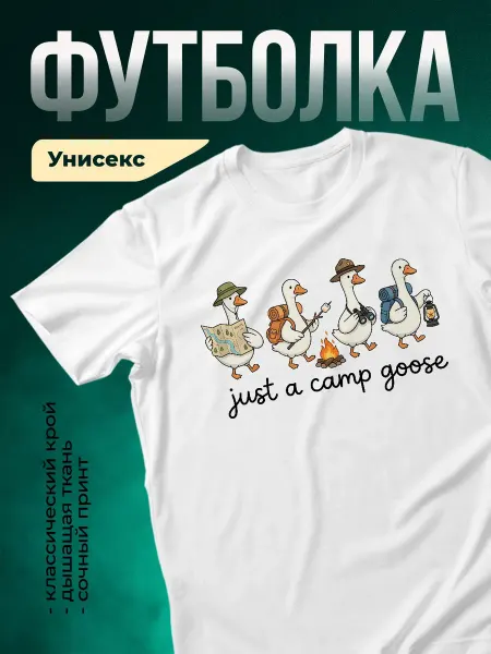 КлассныеШтучки Футболка белая туристические гуси принт подарок другу