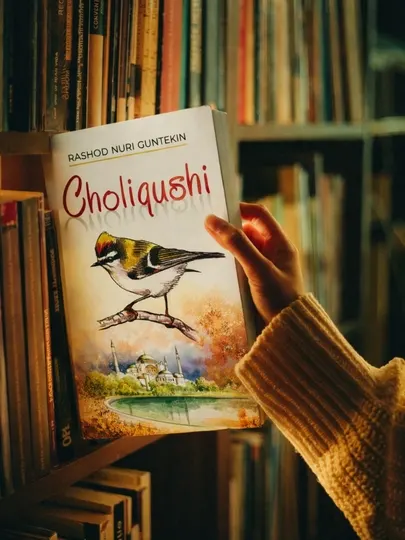 Решад Нури Гюнтекин — «Чалыкушу» книга в мягкой обложке