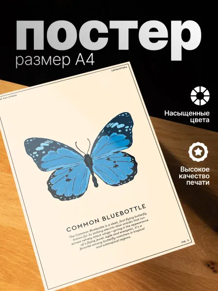Zekeks Плакат на стену стильный A4 без рамки Бабочка