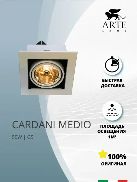 Arte Lamp Карданный светильник CARDANI MEDIO A5930PL-1WH