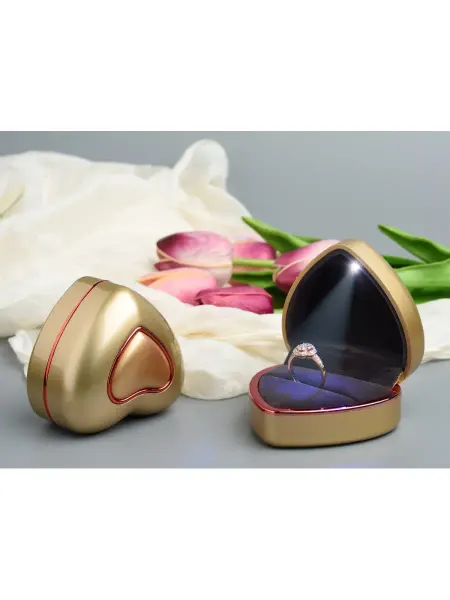 World of Accessories Футляр для кольца с подсветкой