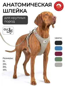 Шлейка для собак крупных пород Curli AirMash Belka анатомическая