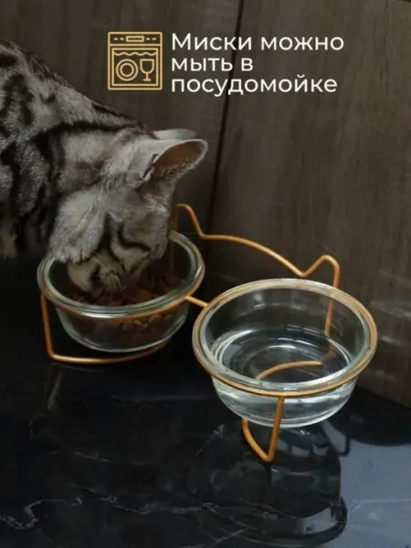 Двойная стеклянная миска для кошек и собак, набор из металла