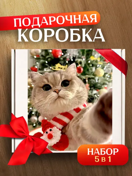 Allure Gift Коробка подарочная новогодняя котики