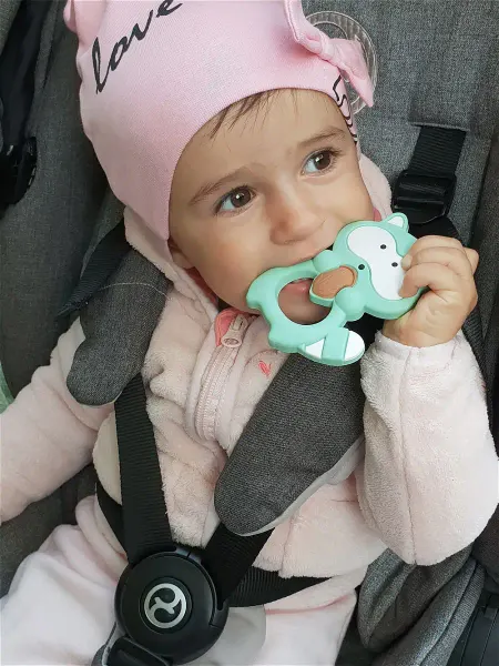 TI AMO МАМА Прорезыватель силиконовый детский грызунок Енот