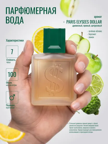 ANYLADY PARFUM Духи мужские PARIS ELYSEES DOLLAR 100 мл, парфюмерная вода
