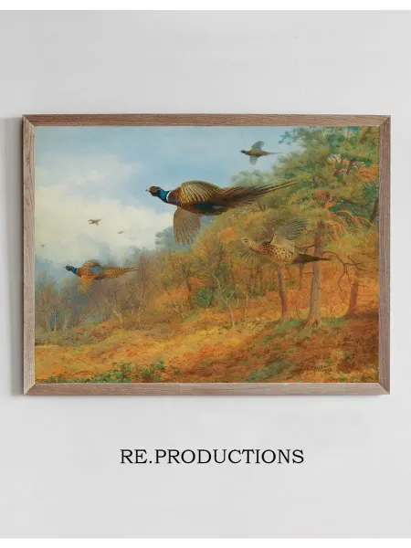 Re.productions Постер Pheasants Breaking Out Of Cover - Archibald Thorburn
