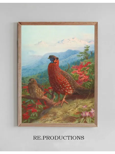 Re.productions Постер The Satyr Tragopan - Archibald Thorburn
